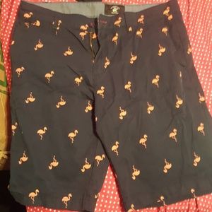 Mens Polo Shorts (36 Size)